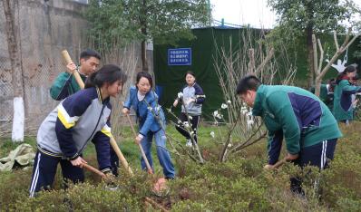 拥抱春天，“植”此青绿——钱江教育开展植树节活动